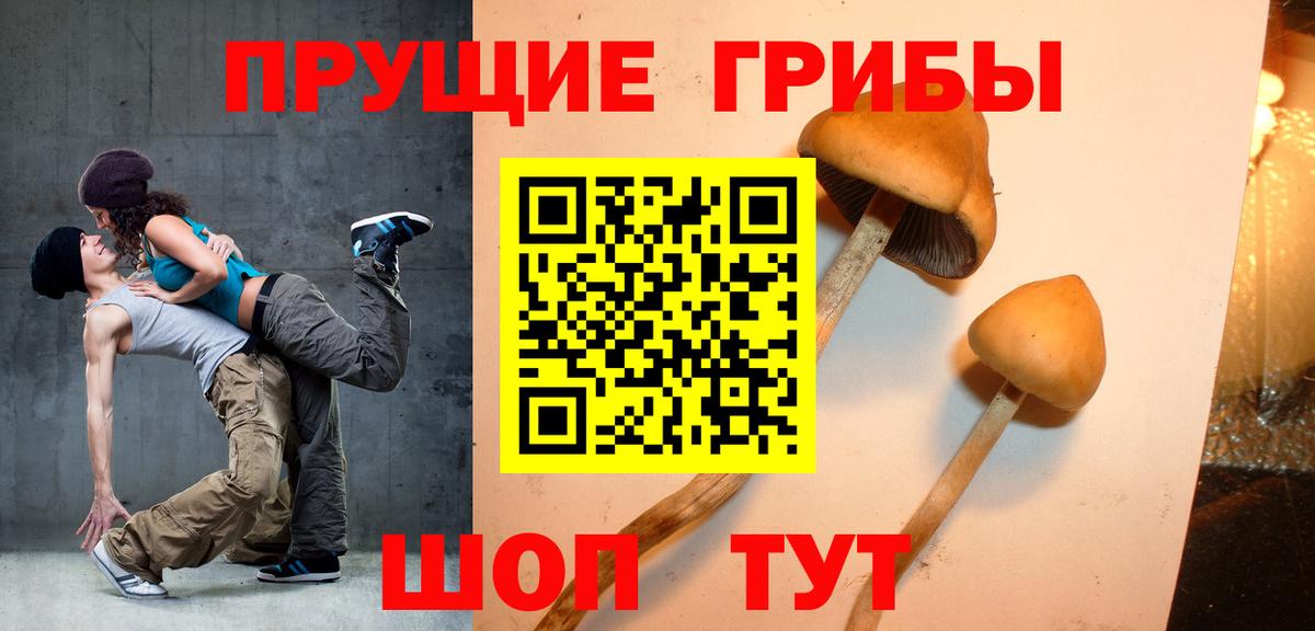 Псилоцибиновые грибы мухоморы Таганрог