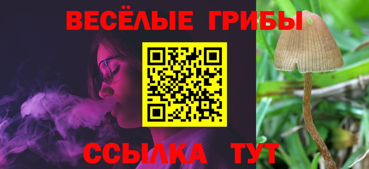 Галлюциногенные грибы Magic Shrooms  купить  сайты  Таганрог  Вход с VPN 
